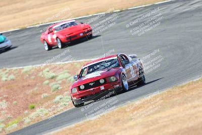 media/May-06-2023-Lucky Dog Racing (Sat) [[8f2256f436]]/Turn 2 10a/
